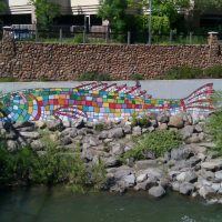 Trout Mural