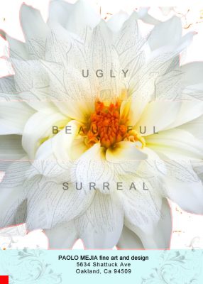 CALL FOR ARTISTS: “the UGLY, Beautiful and Surreal”