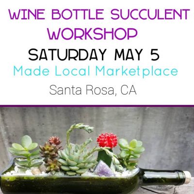 Wine Bottle Succulent Planter Workshop