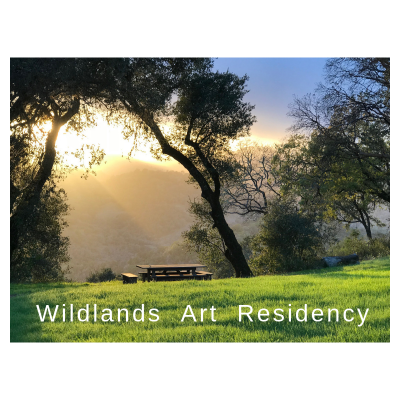 CALL FOR ARTISTS: Summer Art Residency At Wildlands Art Residency