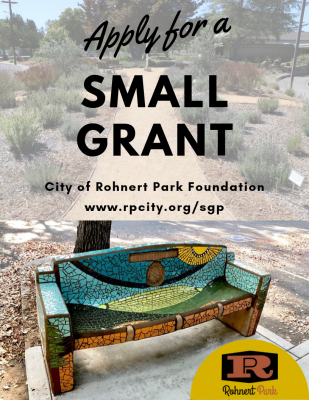 Funding Opportunity: Small Grants Program