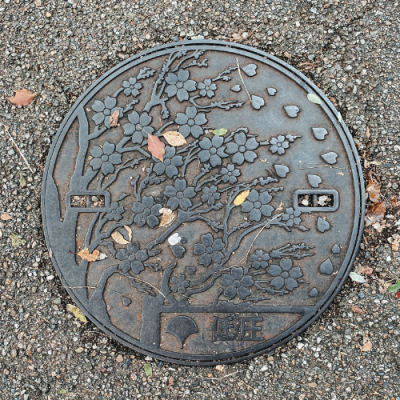 Call for Artists:  RFQ - Design for Larkfield-Wikiup Maintenance Hole Covers