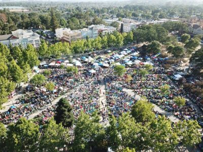 CALL TO MUSICIANS: 2022 Summer Nights on the Green