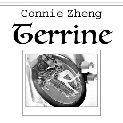 Connie Zheng: Terrine